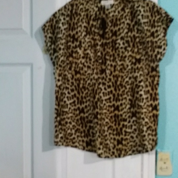 Short Sleeve blouse - Picture 6 of 8